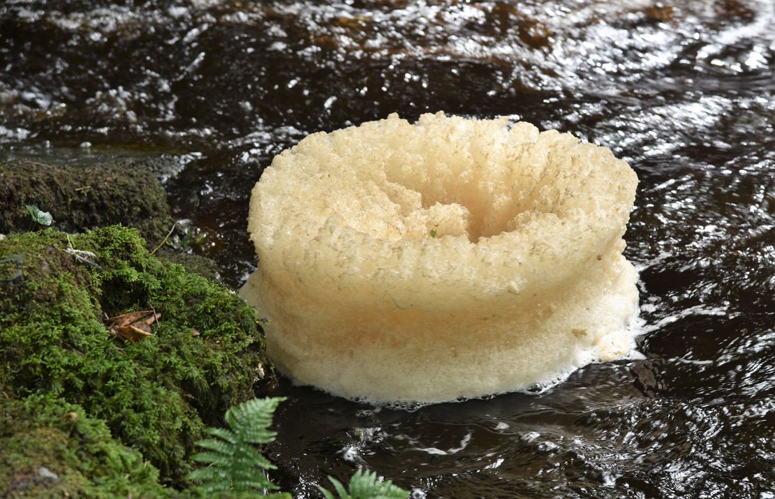 Doughnut Economics and GrowGood