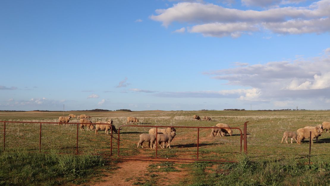 Breaking the Digital Fenceline: A Smarter Foundation for Farm Operations