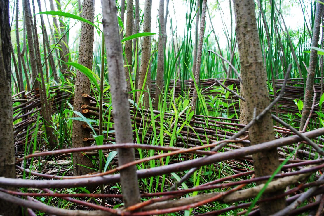 A New Future for Farming: How GrowGood Measures What Matters